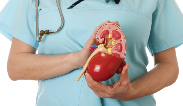 Nephrology Welcome Image